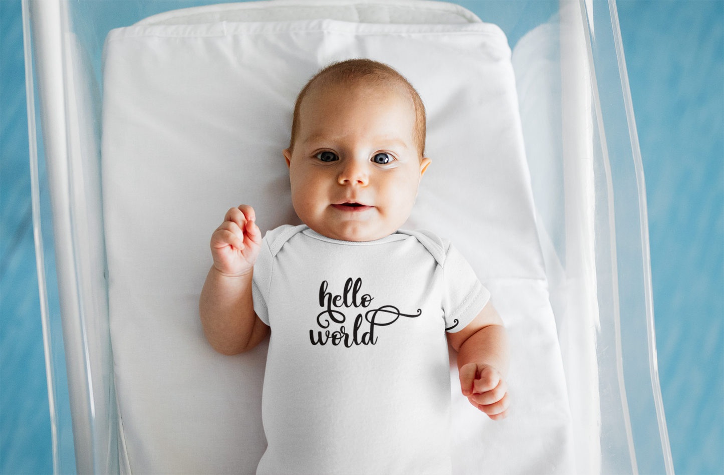 Hello World - Onesie Decal Only